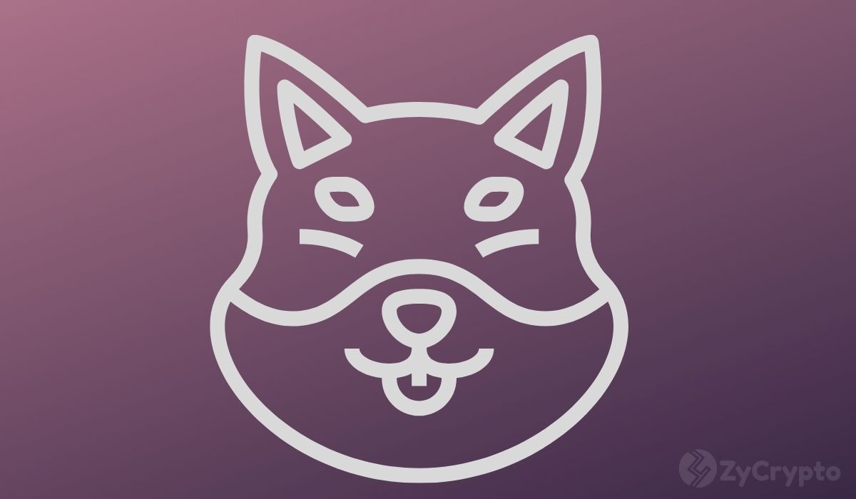 يكشف مؤسس Dogecoin ، بيلي ماركوس ، عن سبب كرهه لـ Shiba Inu